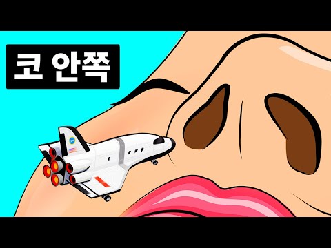 코가 막히면 음식을 맛볼 수 없는 이유 + 재미있는 신체 사실