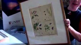 Framing the Scott Sisters