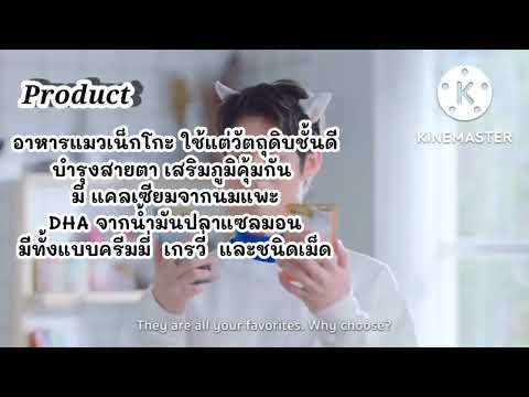 SAU กลยุทธ์การตลาดยุคดิจิทัล1-65  วิเคราะห์โฆษณา อาหารลูกแมวเน็กโกะ