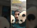 ew AI Feature 2026 😱 Two Bears Behind Me 🐻🔥 Viral AI Shorts(ये टाइटल जानबूझकर English