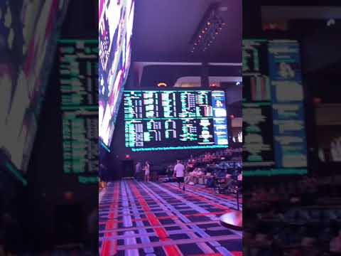 ACTION view Circa Resort & Casino Las Vegas worlds largest sportsbook