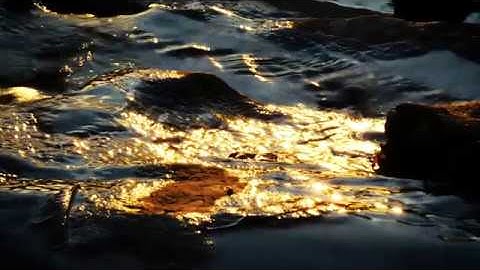 4k footage from g85 (kit lens, handheld, bokeh)