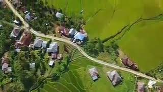 Hari sumpah pemuda di manggarai(lingko cara)2017