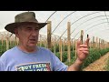 The Ins and Outs of High Tunnels with Pete's Produce Farm