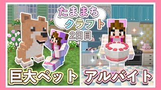 オシャレな街で充実した一人暮らし生活２日目♪【マイクラ】【マインクラフト】【Minecraft】【女性ゲーム実況者】【TAMAchan】