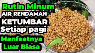 LUAR BIASA !! INILAH 7 MANFAAT MINUM AIR RENDAMAN KETUMBAR BAGI KESEHATAN TUBUH .