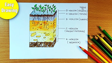 soil profile drawing || layers of soil diagram || how to draw soil profile diagram || @ArtwithB