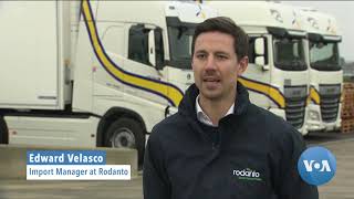 Brexit Bites For British Businesses As Border Delays Slow Trade