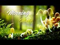 Morning Relaxing Music - Piano Music with Birds Singing For Positive Feelings and Energy