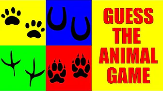 Guess the Animal Footprints Game | Animal Tracks Quiz Game for Kids, Preschoolers, and Kindergarten