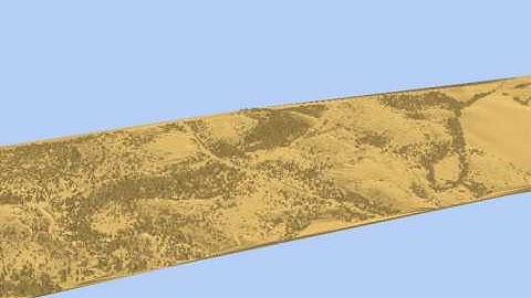 Virtual Deforestation of Delamere Forest