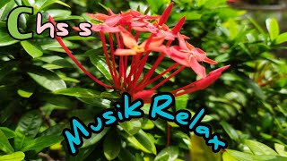 Alunan Nada Musik Relaksasi Membuat Ketenangan Hati Dan Pikiran Jernih