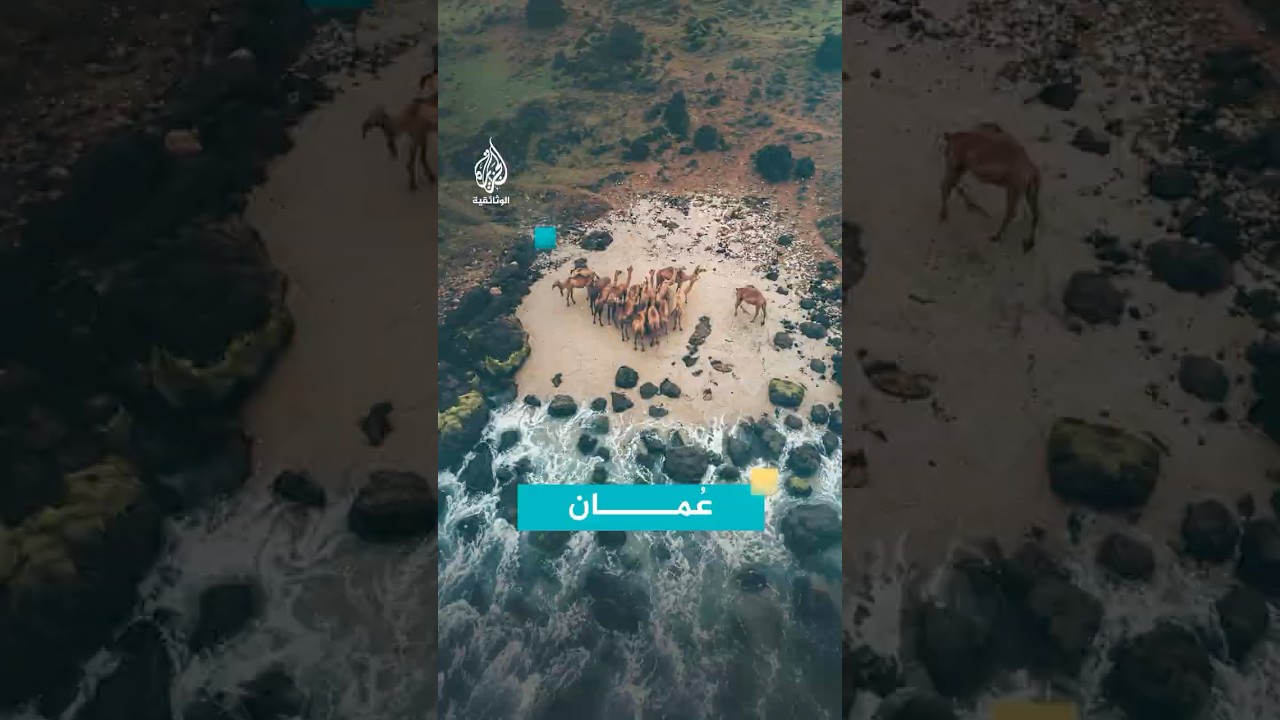 عمان
