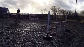 Sidney, 1m course