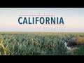 Agua subterrnea de california  informe 2020