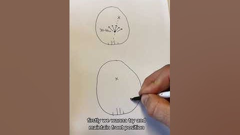 How to play Half Forward AFL