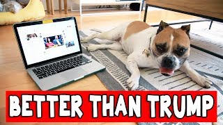 9 THINGS MY DOG DOES BETTER THAN TRUMP // Grace Helbig