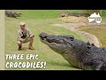 Epic croc actiontimes 3  australia zoo life