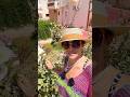 если вы летите  в Египет / мои услуги #хургада #египет #видео #отдых #море #vibes