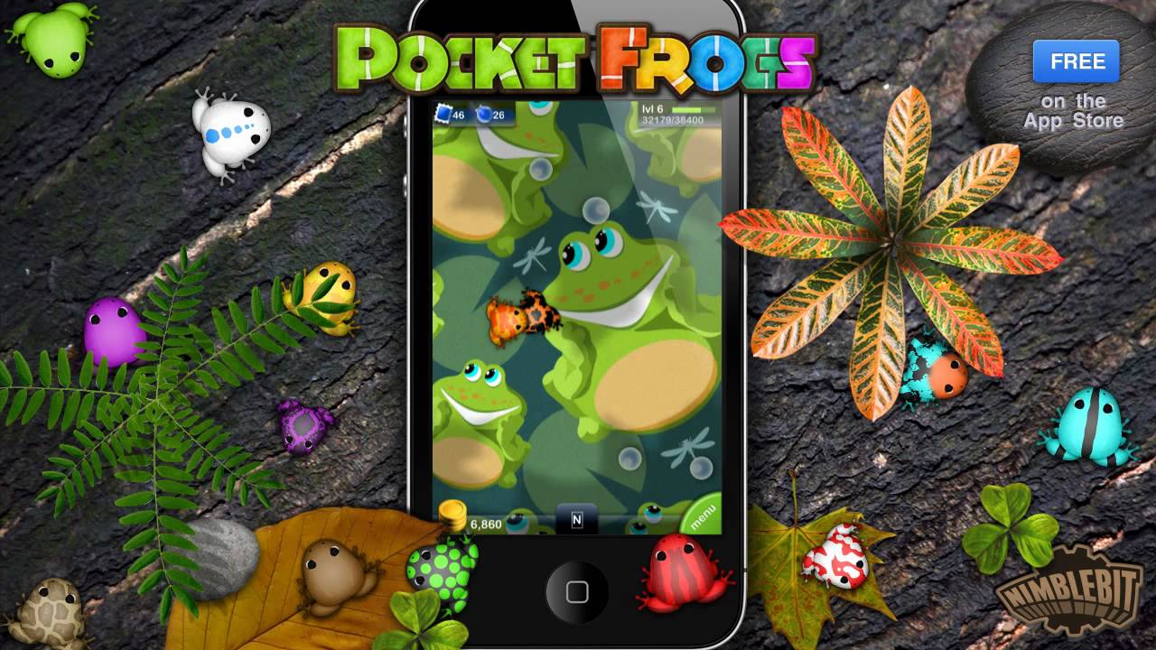 Hasil gambar untuk nimblebit pocket frogs