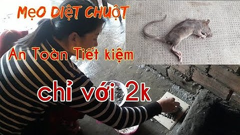 hướng dẫn diệt chuột an toàn hiệu quả tiết kiệm trong chăn nuôi và quanh nhà.