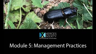 Farming with Soil Life Module 5 (all regions): Management Practices