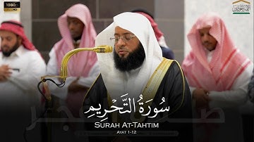 الشيخ بدر التركي سورة التحريم من صلاة الفجر 7 جمادى الاخرة 1446هـ Badr Al-Turki Surah At-Tahrim