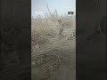 انفجار مجهول المصدر في إدلب