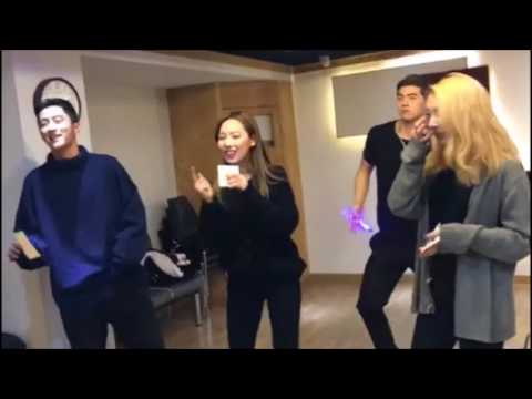 K.A.R.D - Oh NaNa [ROLE SWITCH] SING ver