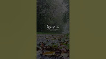 قران كريم |بصوت القارئ:سعيد الخطيب🌠