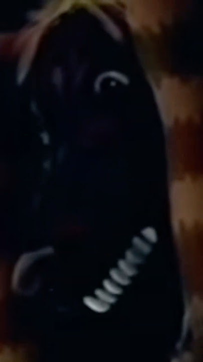 Why I'd Survive This Analog Horror