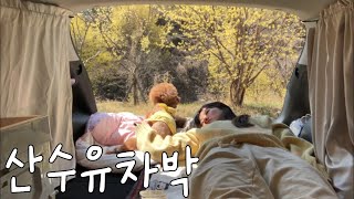 차박마을에서 하룻 밤 | 차박의성지 | 전남 차박 | 구례 산수유마을 | 솔로캠핑 | 산수유 캠핑