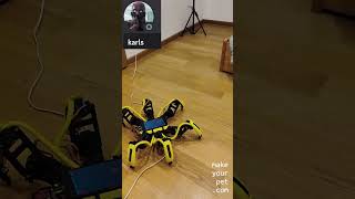 DIY Hexapod Robot Made by Karls #shorts