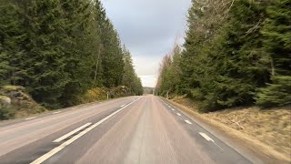 I Just Love Driving Through the Swedish Forest - Ambient, No Talking & No Music