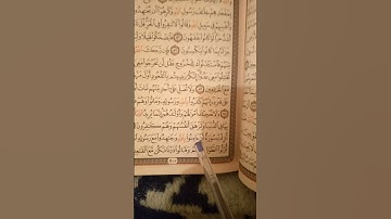 تعلموا تدبر القرآن الكريم فإنه حياة😴
