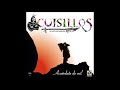 Banda cuisillos cumbias 2018