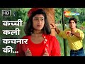 Kachchi Kali Kachnar Ki | Waqt Hamara Hai (1993) | Ayesha Jhulka, Akshay Kumar | Kumar Sanu Hit Song