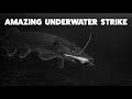 AMAZING Underwater Strike! (Ice Fishing For Shallow Water Pike + Walleye)