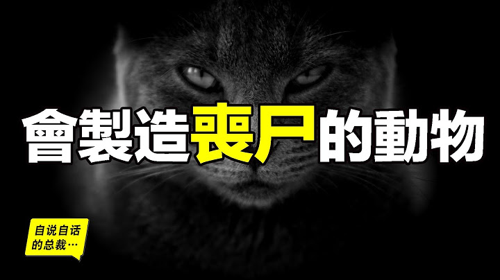 會製造喪屍的動物們：除了喪屍黃蜂，你可能也是某種動物的「喪屍」，你一定見過這種動物……|自說自話的總裁 - 天天要聞