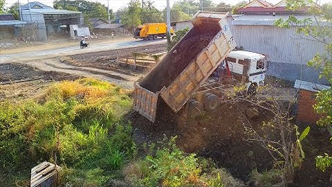 New Project! Huge SHANTUI dozer with team dump trucks filling land around the house to delete grass
