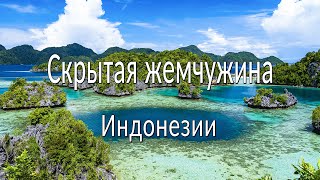 Затерянные острова у берегов Сулавеси. Морские цыгане, гигантские моллюски и кокосовые крабы