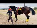 EL GRAN SAMURAI | El Samurai Vs El Machete, Tapias Race Track Durango Mex.