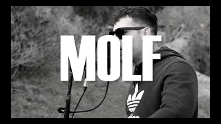 MOLF - Stories