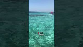 Swimming In The Sea Is A Fantastic Experience.