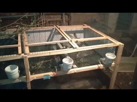 კურდღლის გალიები