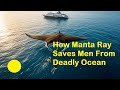 Manta Ray Saves Men From Deadly Ocean Current | Real Travel Story
