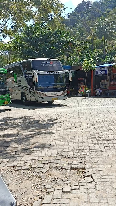 Hunting Bus Random Tgl 04 Agustus 2024