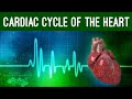 Cardiac cycle and conduction system of heart physiology animation