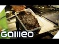 Jumbo testet die ungewöhnlichsten Late-Night Snacks | Galileo | ProSieben