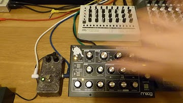 MFB Tanzmaus, Moog Minitaur & Effectpr 13 Torn